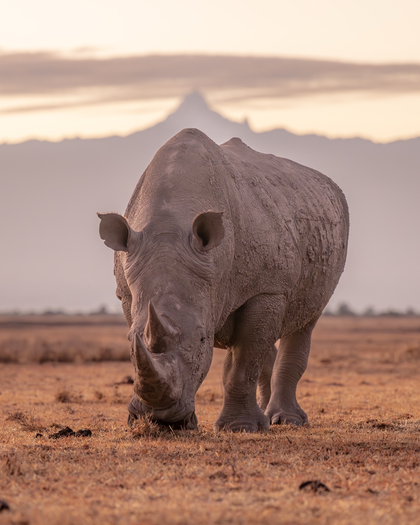 Ol Pejeta