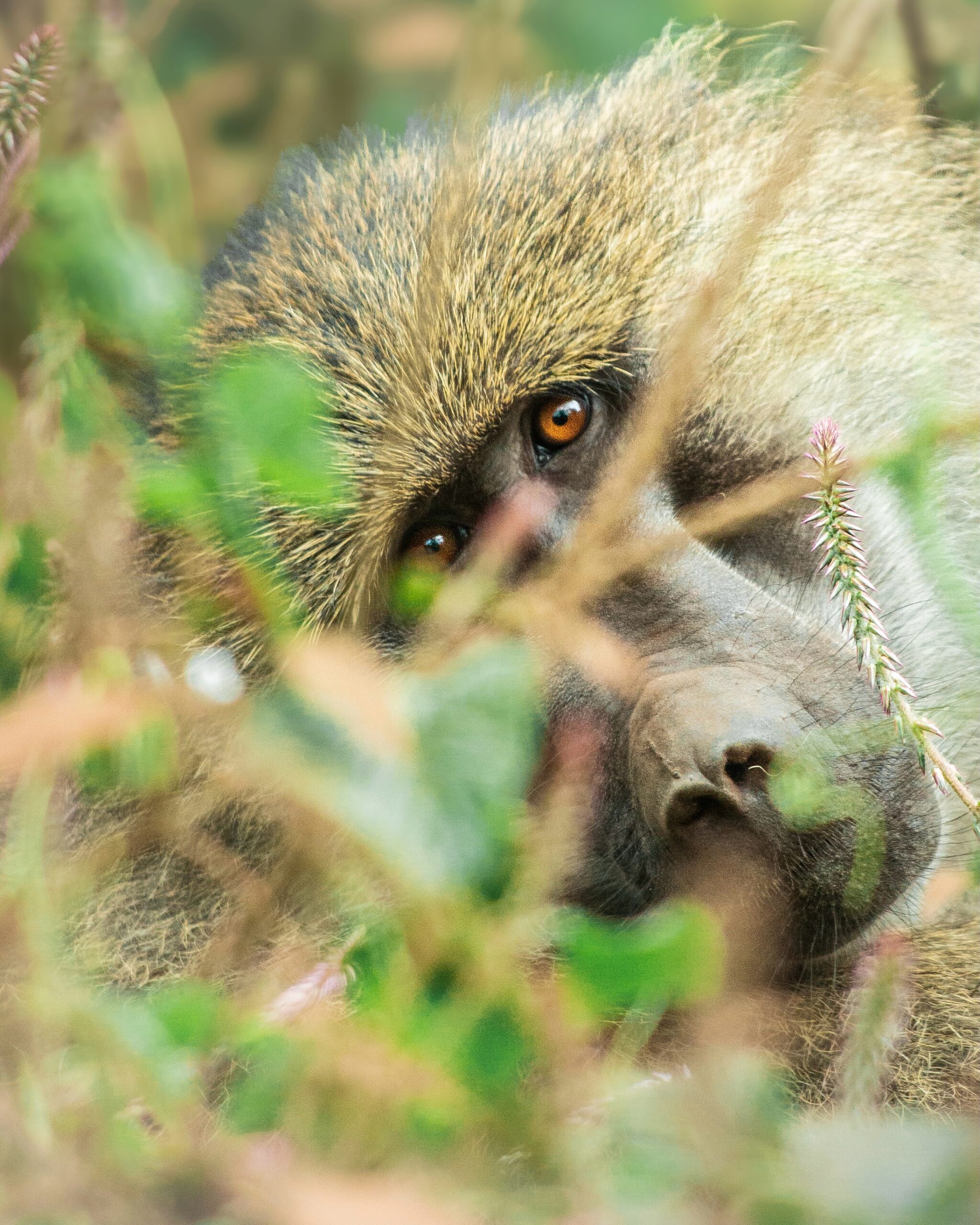 Lake manyara